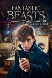 Nonton Film Fantastic Beasts and Where to Find Them (2016) Sub Indo