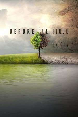 Poster Before the Flood (2016)