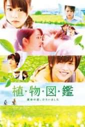 Nonton Film Evergreen Love (2016) Sub Indo