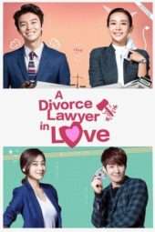 Nonton Film Divorce Lawyer in Love (2015) Sub Indo