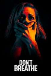 Nonton Film Don’t Breathe (2016) Sub Indo