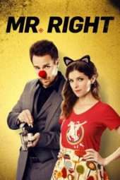 Nonton Film Mr. Right (2016) Sub Indo