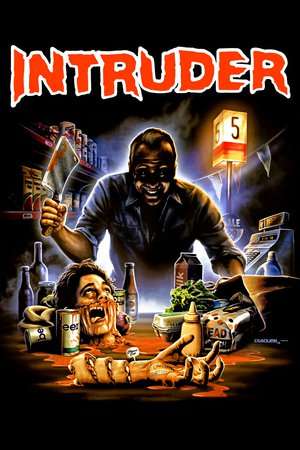 Poster Intruder (1989)