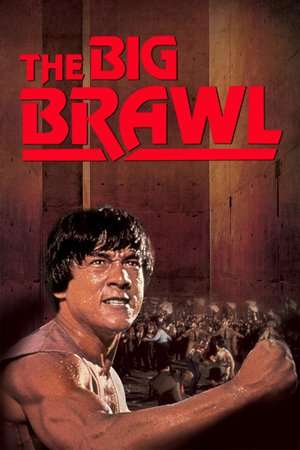 Poster The Big Brawl (1980)