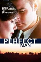 Nonton Film A Perfect Man (2013) Sub Indo