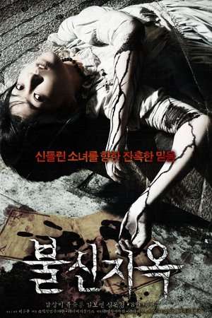 Poster Possessed (2009)