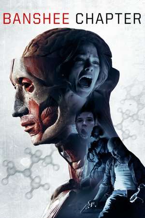 Poster Banshee Chapter (2013)