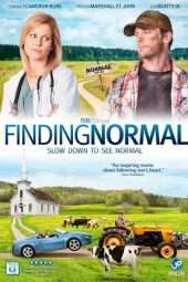 Nonton Film Finding Normal (2013) Sub Indo