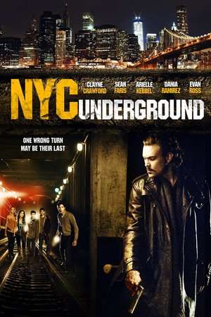 Poster N.Y.C. Underground (2013)