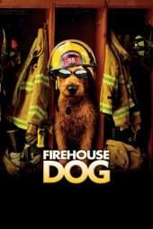 Nonton Film Firehouse Dog (2007) Sub Indo