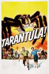 Nonton Film Tarantula (1955) Sub Indo