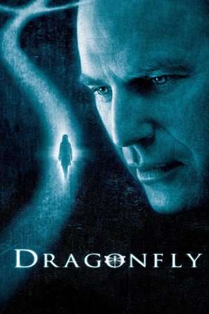 Poster Dragonfly (2002) jf