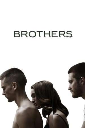 Poster Brothers (2009) jf