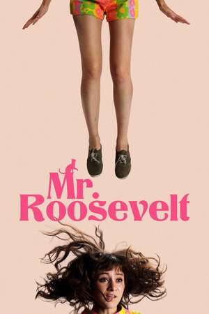 Poster Mr. Roosevelt (2017)