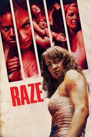 Poster Raze (2013)