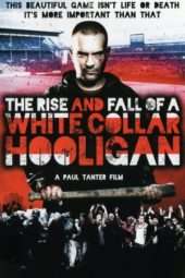 Nonton Film The Rise & Fall of a White Collar Hooligan (2012) Sub Indo