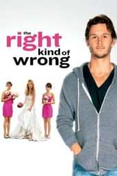 Nonton Film The Right Kind of Wrong (2013) Sub Indo