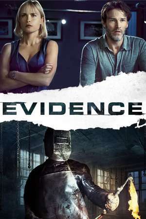 Poster Evidence (2013)