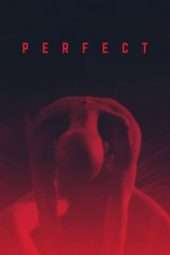 Nonton Film Perfect (2018) Sub Indo