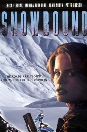 Poster Snowbound (2001)