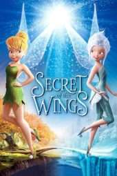 Nonton Film Secret of the Wings (2012) Sub Indo