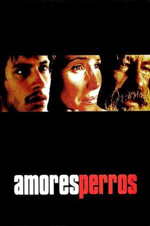 Poster Nonton Amores perros (2000) Sub Indo jf