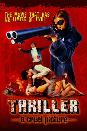 Poster Thriller: A Cruel Picture (1973)