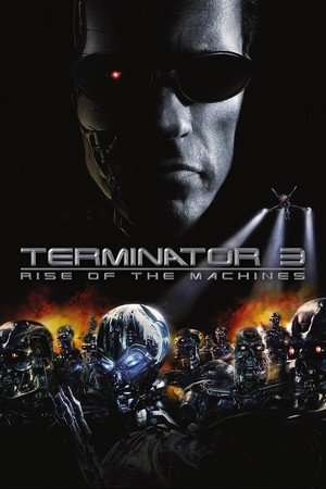 Poster Terminator 3: Rise of the Machines (2003) jf