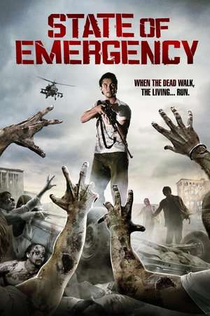 Poster State of Emergency (2011)