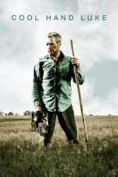 Nonton Film Cool Hand Luke (1967) Sub Indo