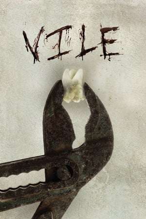 Poster Vile (2011)