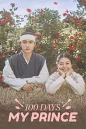 Nonton Film 100 Days My Prince (2018) Sub Indo