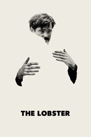 Poster The Lobster (2015)