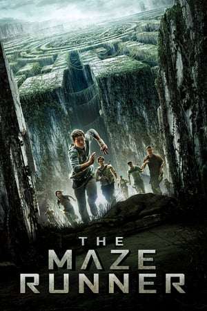 Poster The Maze Runner (2014) jf