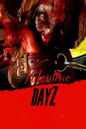 Poster Valentine DayZ (2018)