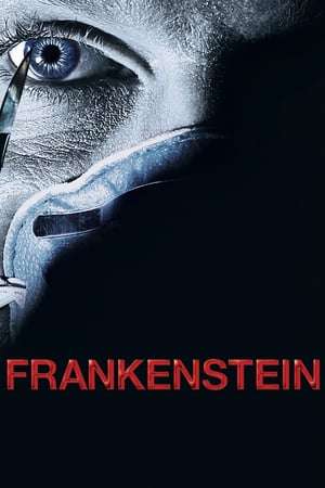 Poster Frankenstein (2004)