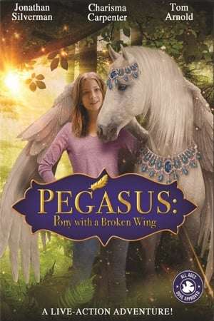 Poster Pegasus: Pony With a Broken Wing (2018) hd