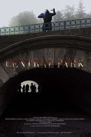 Poster Central Park (2017) jf