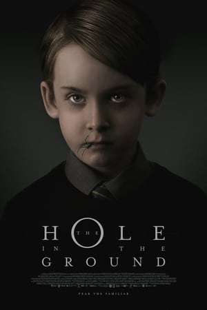 Poster The Hole in the Ground (2019) jf