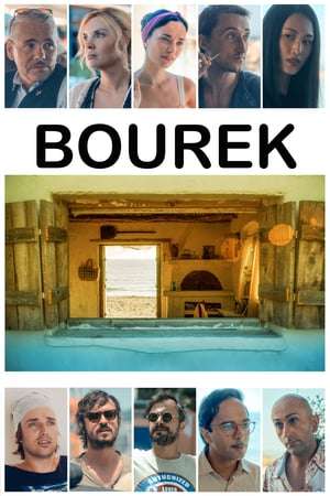 Poster Bourek (2016)