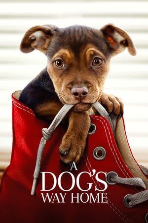 Poster Nonton A Dog’s Way Home (2019) Sub Indo jf