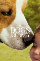 Nonton Film A Dog’s Journey (2019) Sub Indo