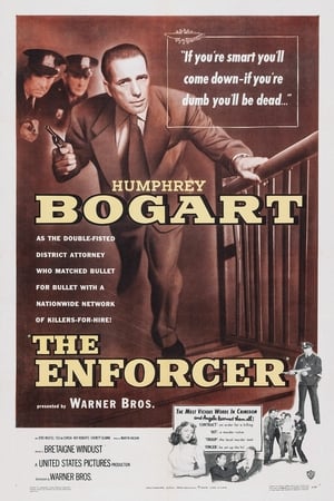 Poster The Enforcer (1951) jf