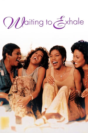 Poster Waiting to Exhale (1995)