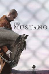 Nonton Film The Mustang (2019) Sub Indo