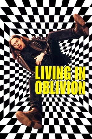 Poster Living in Oblivion (1995) gt