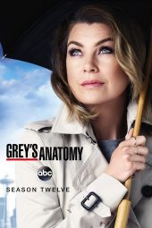 Nonton Film Grey’s Anatomy Season 12 (2015) Sub Indo