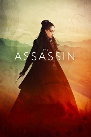 Poster The Assassin (2015) jf