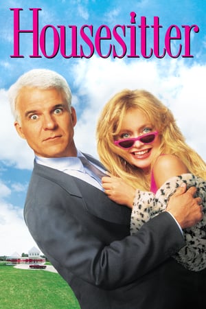 Poster Housesitter (1992) gt