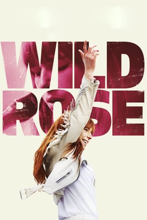 Poster Wild Rose (2019) jf